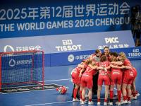 开云体育app-进球多多！瑞士胜捷克，喜获胜利的简单介绍